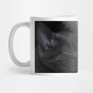 Cat Napping Mug